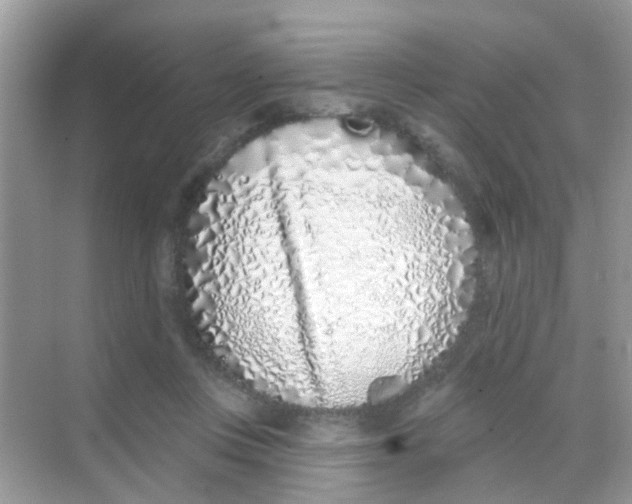 X0000068270359200605121852