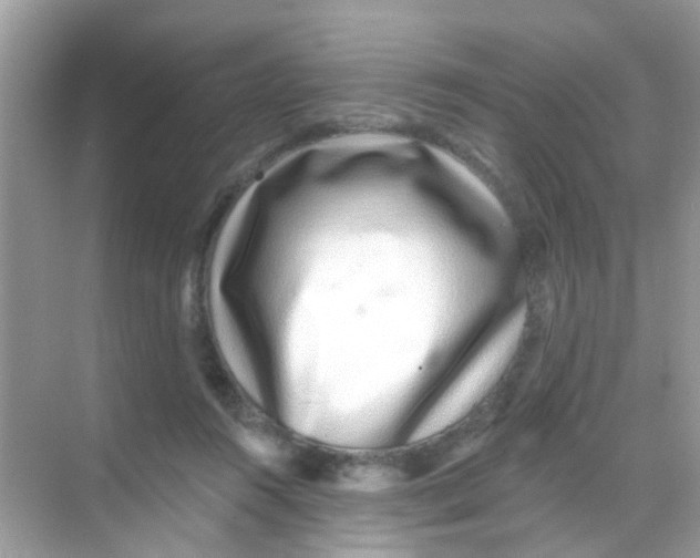 X0000068270360200605121852