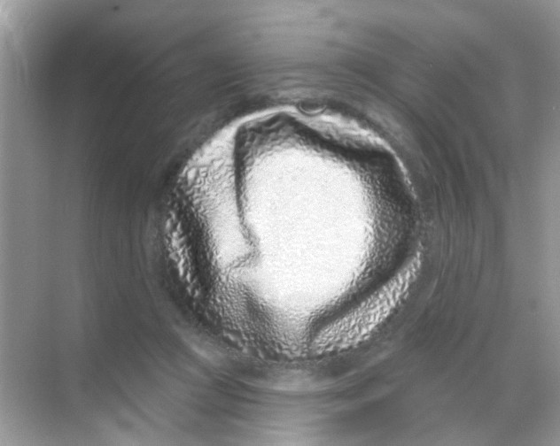 X0000068270361200605121852