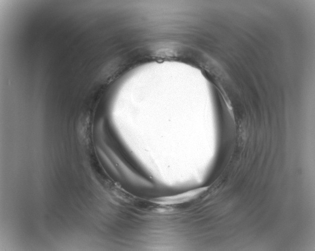 X0000068270364200605121852