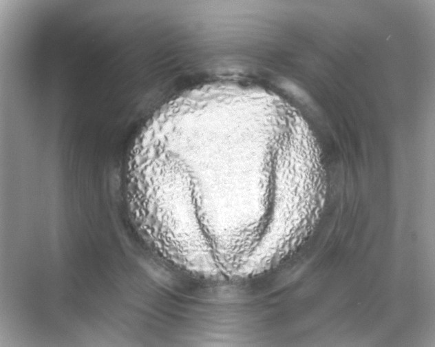 X0000068270365200605121852