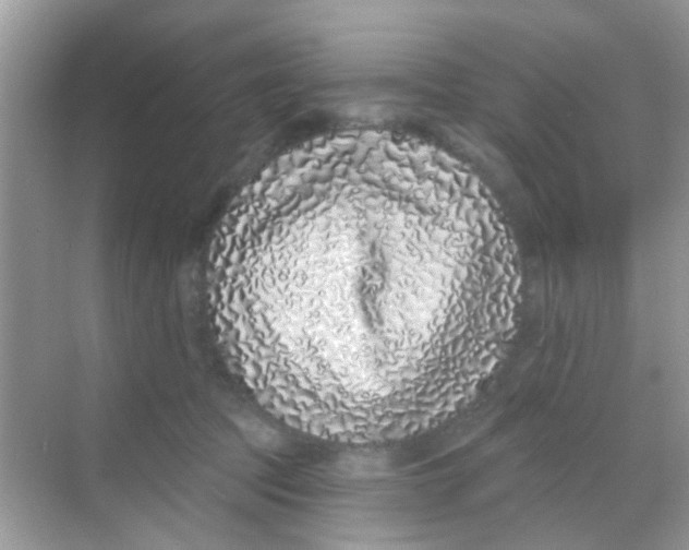 X0000068270369200605121852