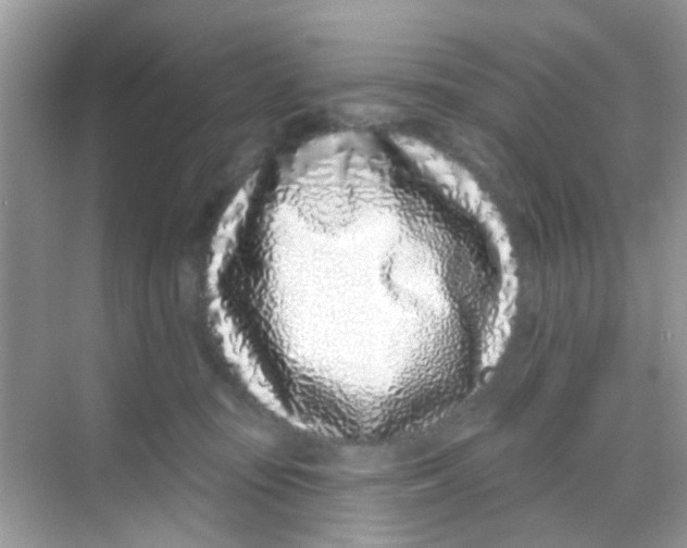 X0000068270371200605121852