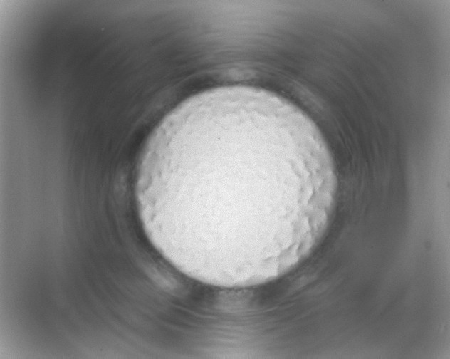 X0000068270373200605121852