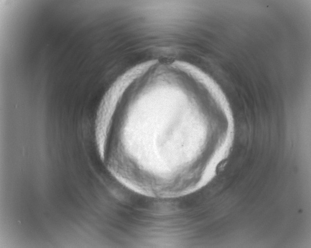 X0000068270375200605121852