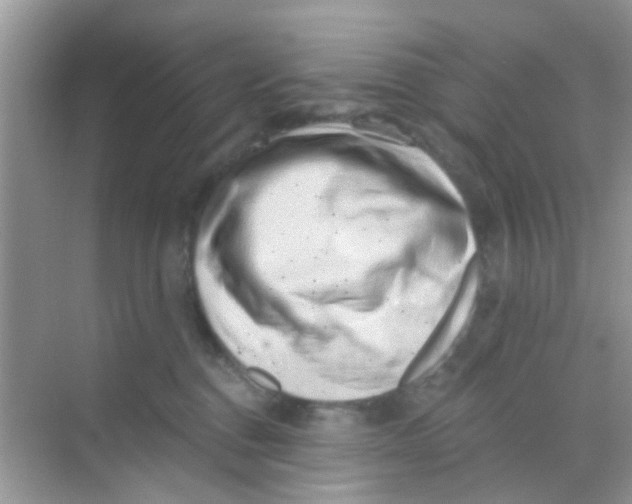 X0000068270376200605121852