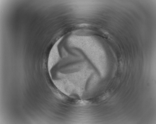 X0000068270379200605121852