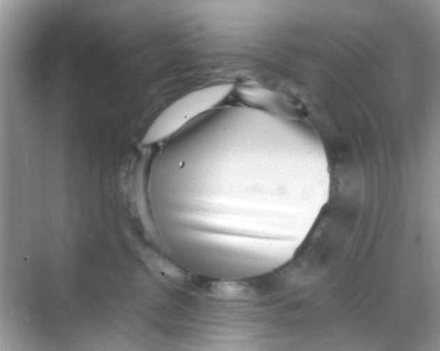 X0000068270380200605121852