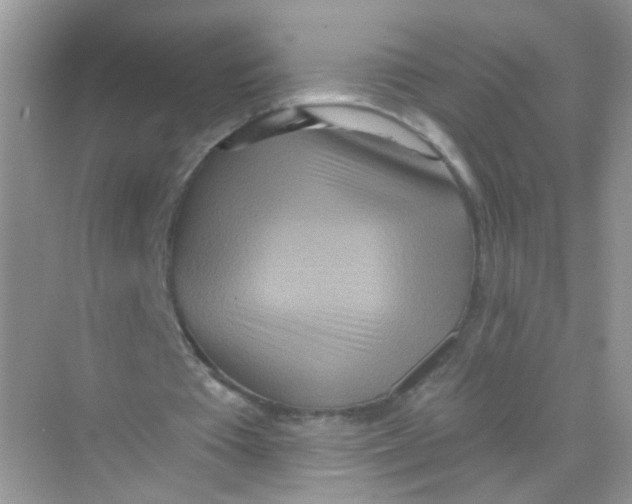 X0000068270385200605121851