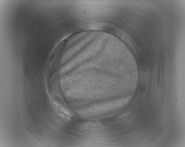 X0000068270386200605121851