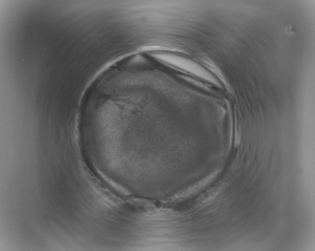 X0000068270387200605121851