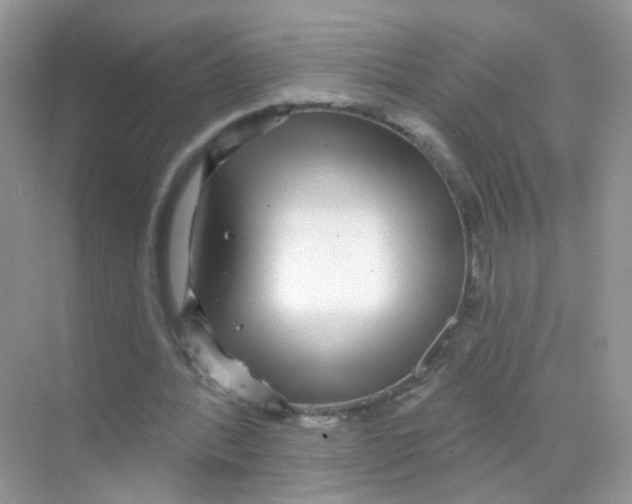 X0000068270388200605121851