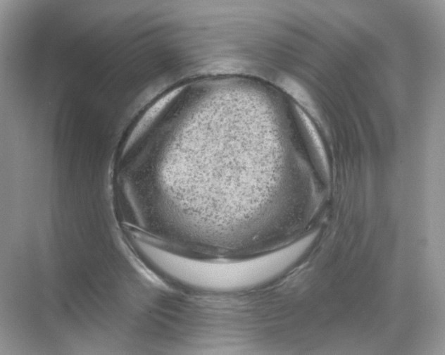 X0000068270389200605121851