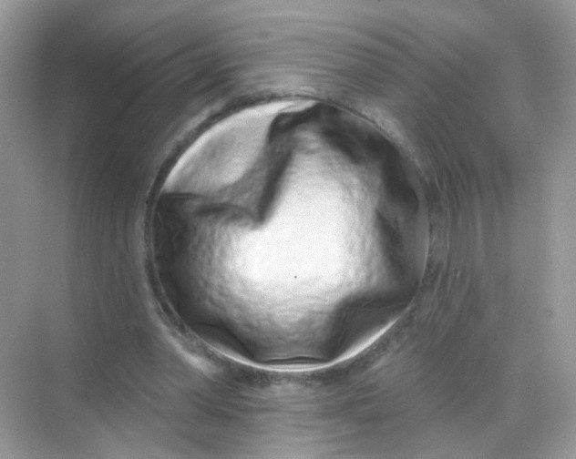 X0000068270390200605121851