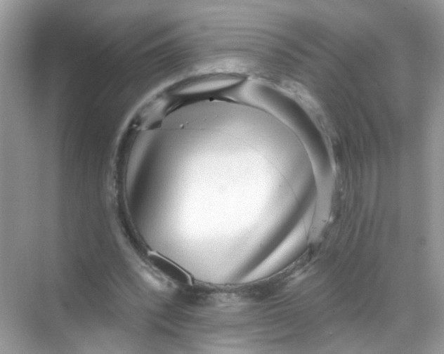 X0000068270392200605121851