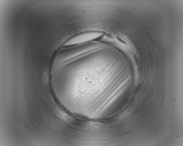 X0000068270393200605121851