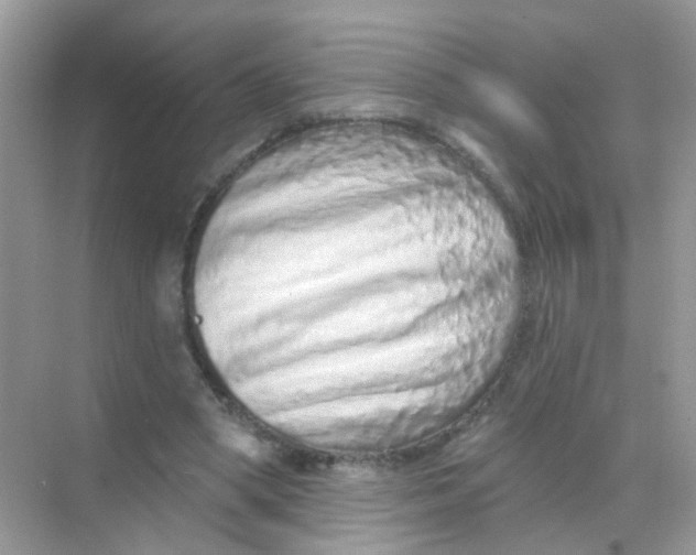 X0000068270394200605121851