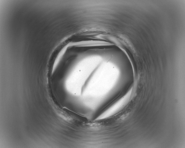 X0000068270395200605121851