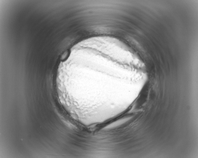 X0000068270398200605121851