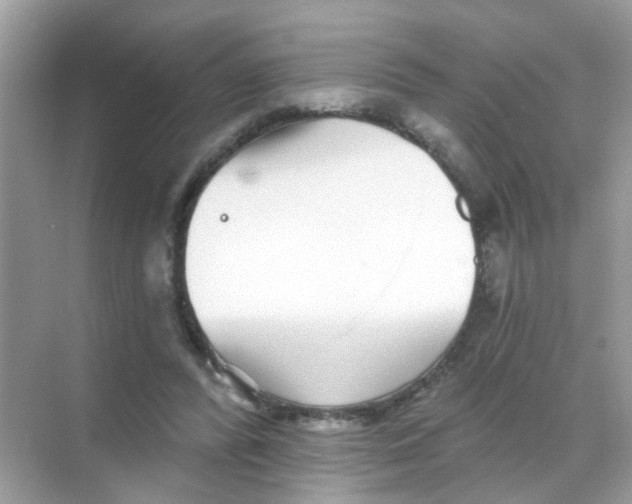 X0000068270400200605121851