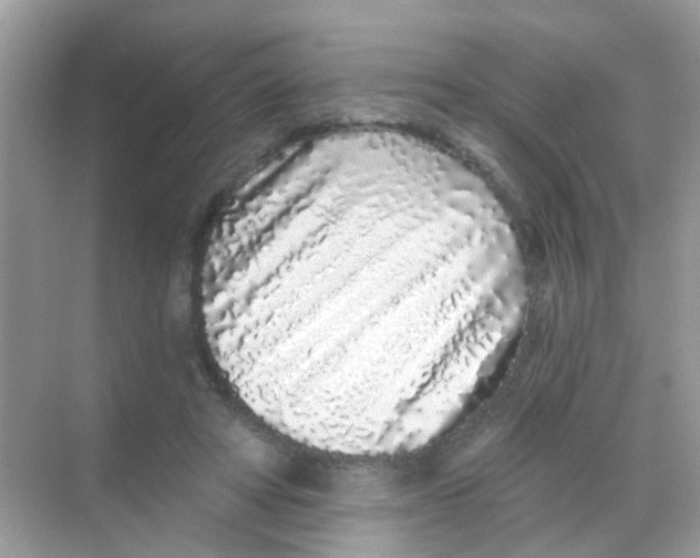 X0000068270402200605121851