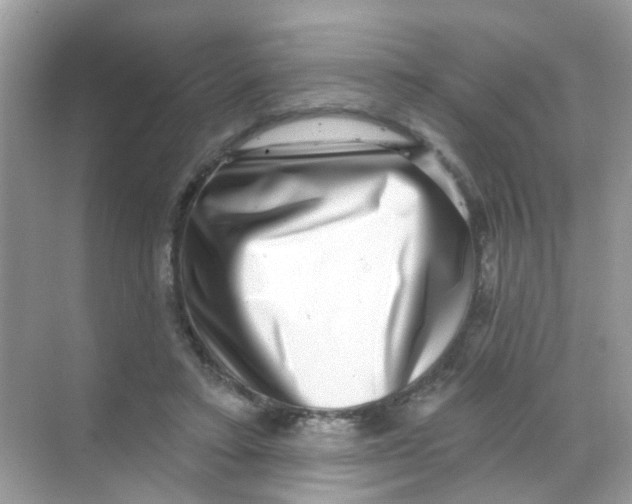 X0000068270403200605121851