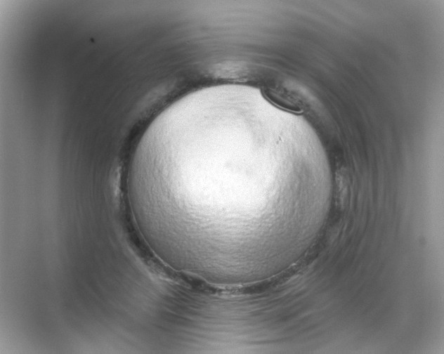 X0000068270404200605121851