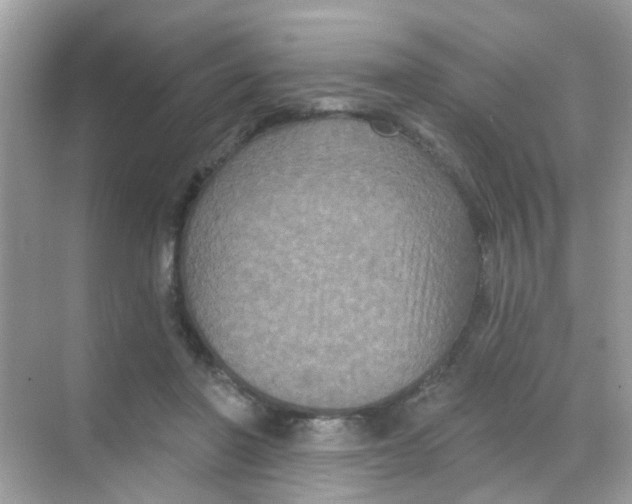 X0000068270406200605121851