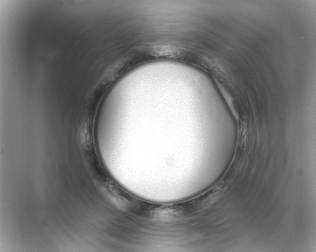 X0000068270408200605121851