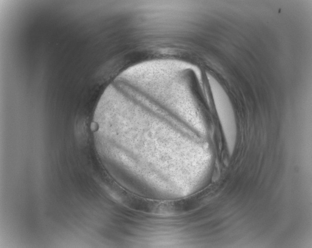 X0000068270410200605121851