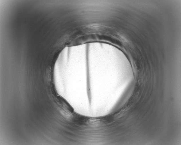 X0000068270413200605121851