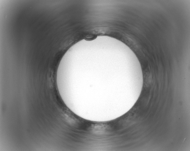 X0000068270414200605121851