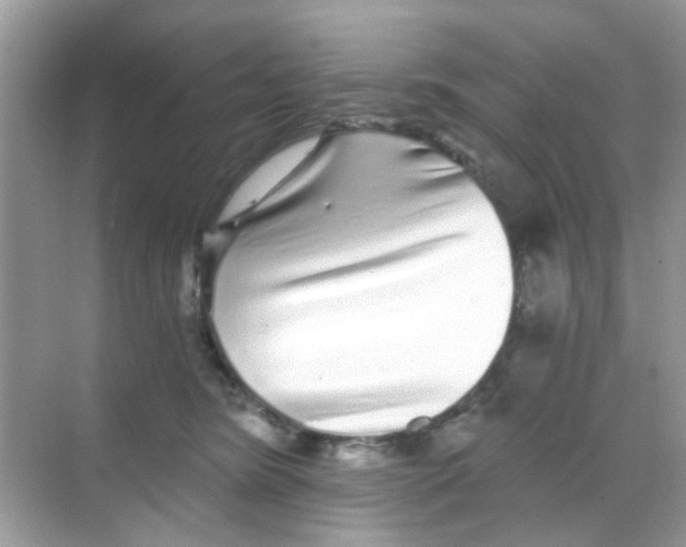 X0000068270420200605121851