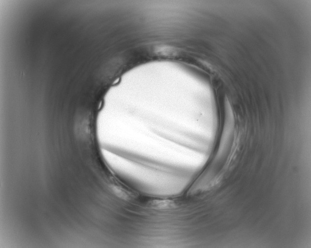 X0000068270424200605121851