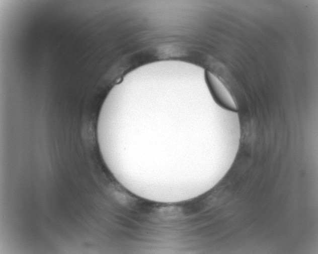 X0000068270426200605121851