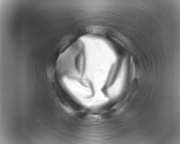 X0000068270429200605121851