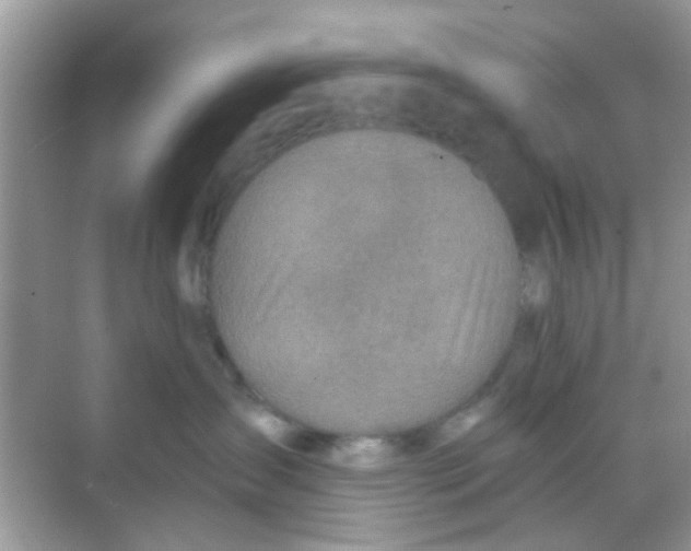 X0000068270431200605121851