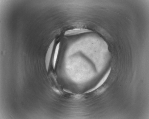 X0000068270432200605121851