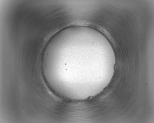 X0000068270433200605121850