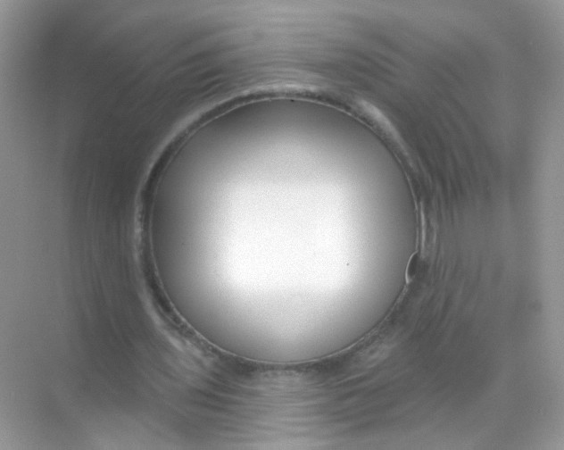 X0000068270435200605121850