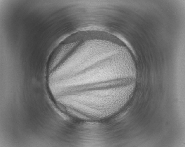 X0000068270437200605121850