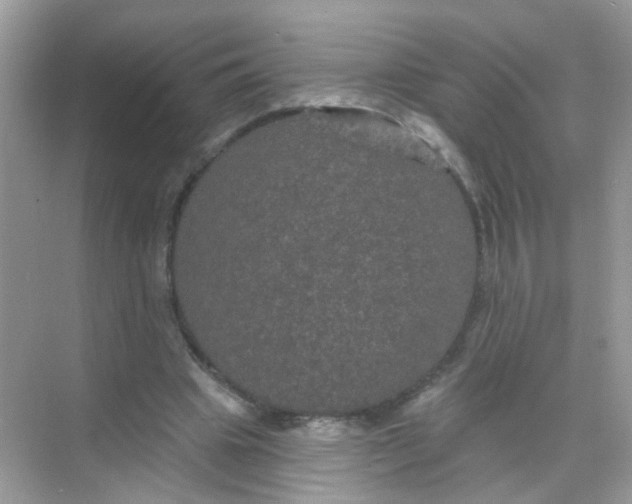 X0000068270441200605121850