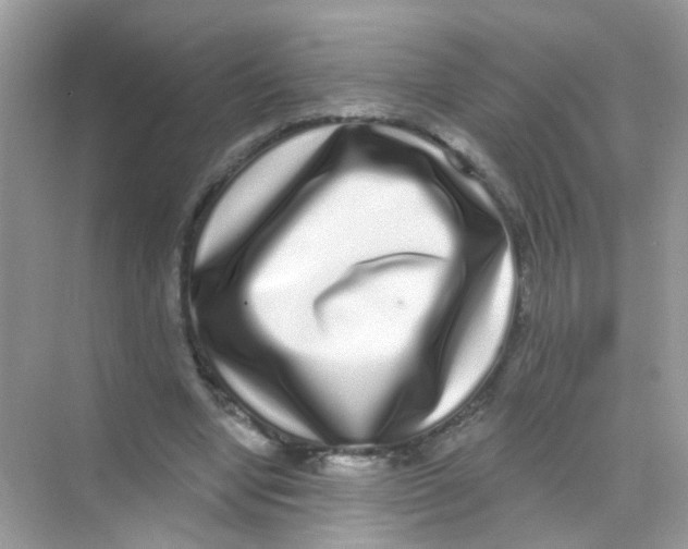 X0000068270442200605121850