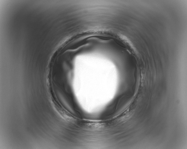 X0000068270443200605121850