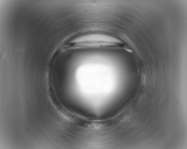 X0000068270444200605121850