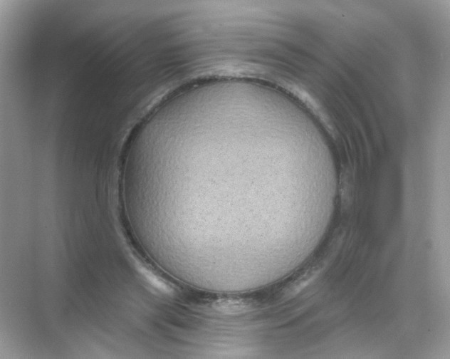 X0000068270445200605121850