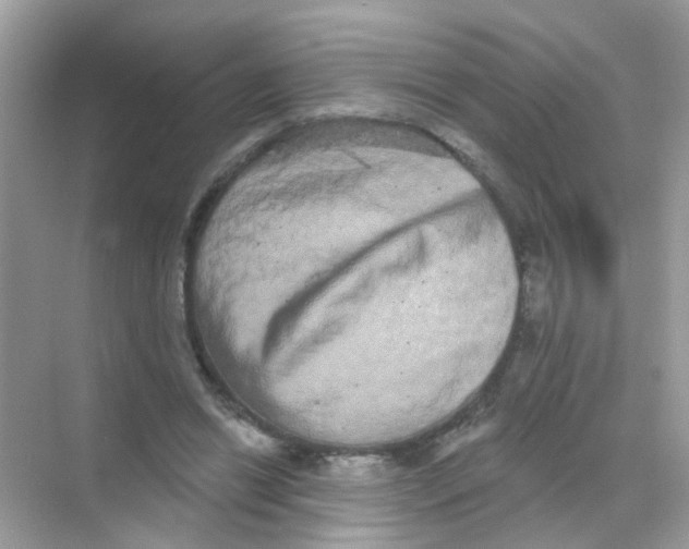 X0000068270446200605121850