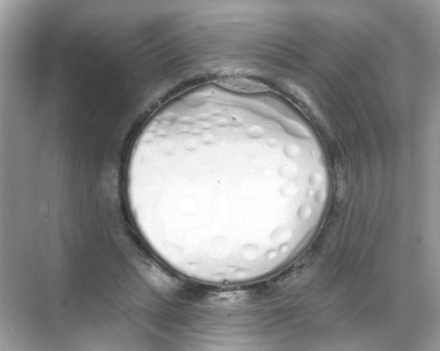 X0000068270447200605121850