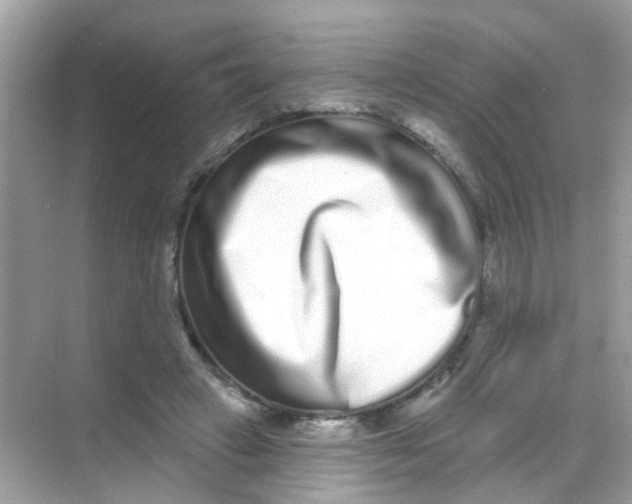 X0000068270449200605121850