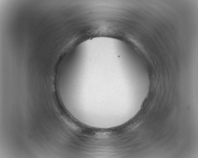 X0000068270450200605121850